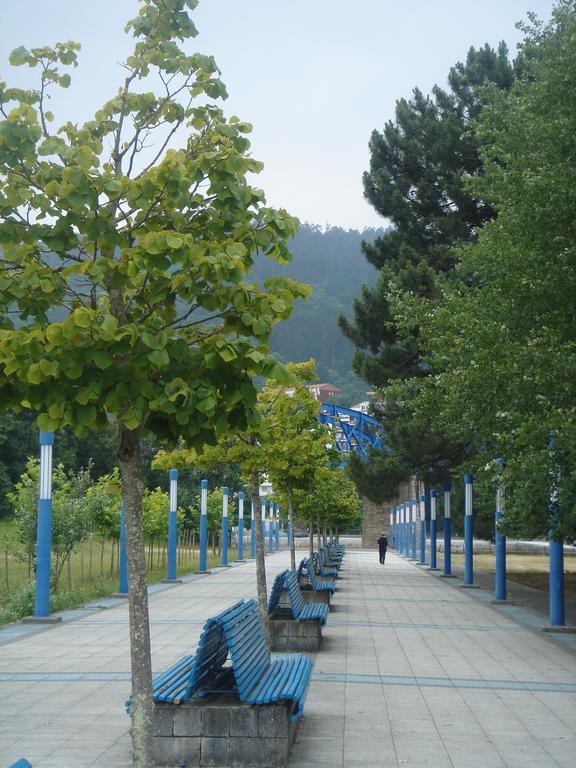 Sarga
