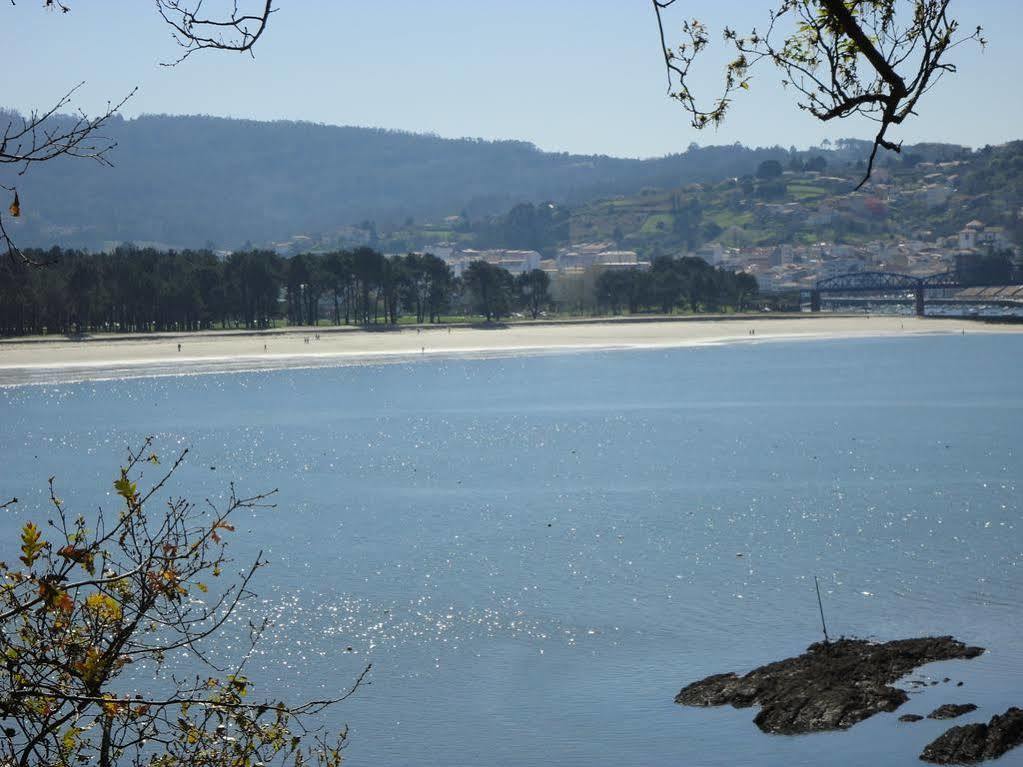 Sarga