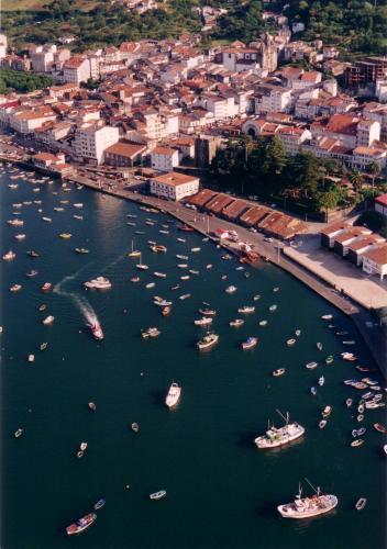 Sarga